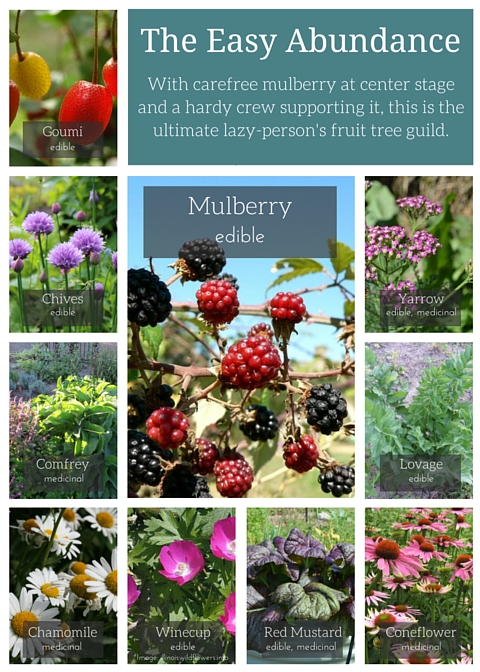 Mulberry Guild